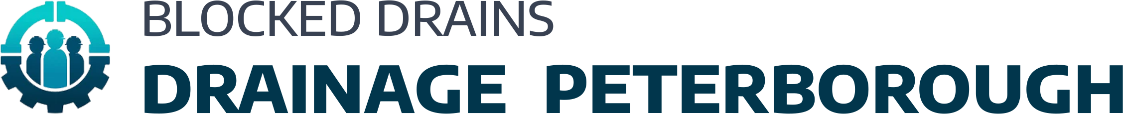 website logo